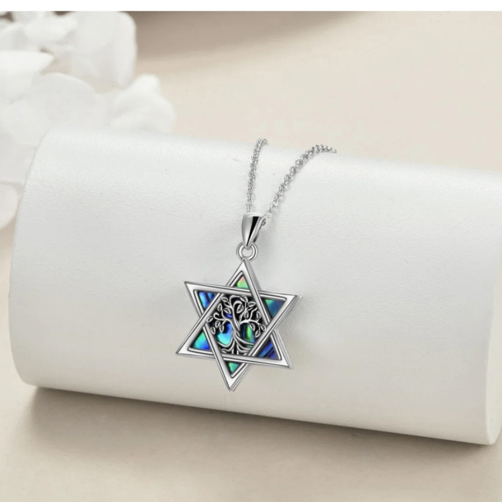 NWOT YFN Sterling Sliver Abalone Star of David Necklace Tree of Life